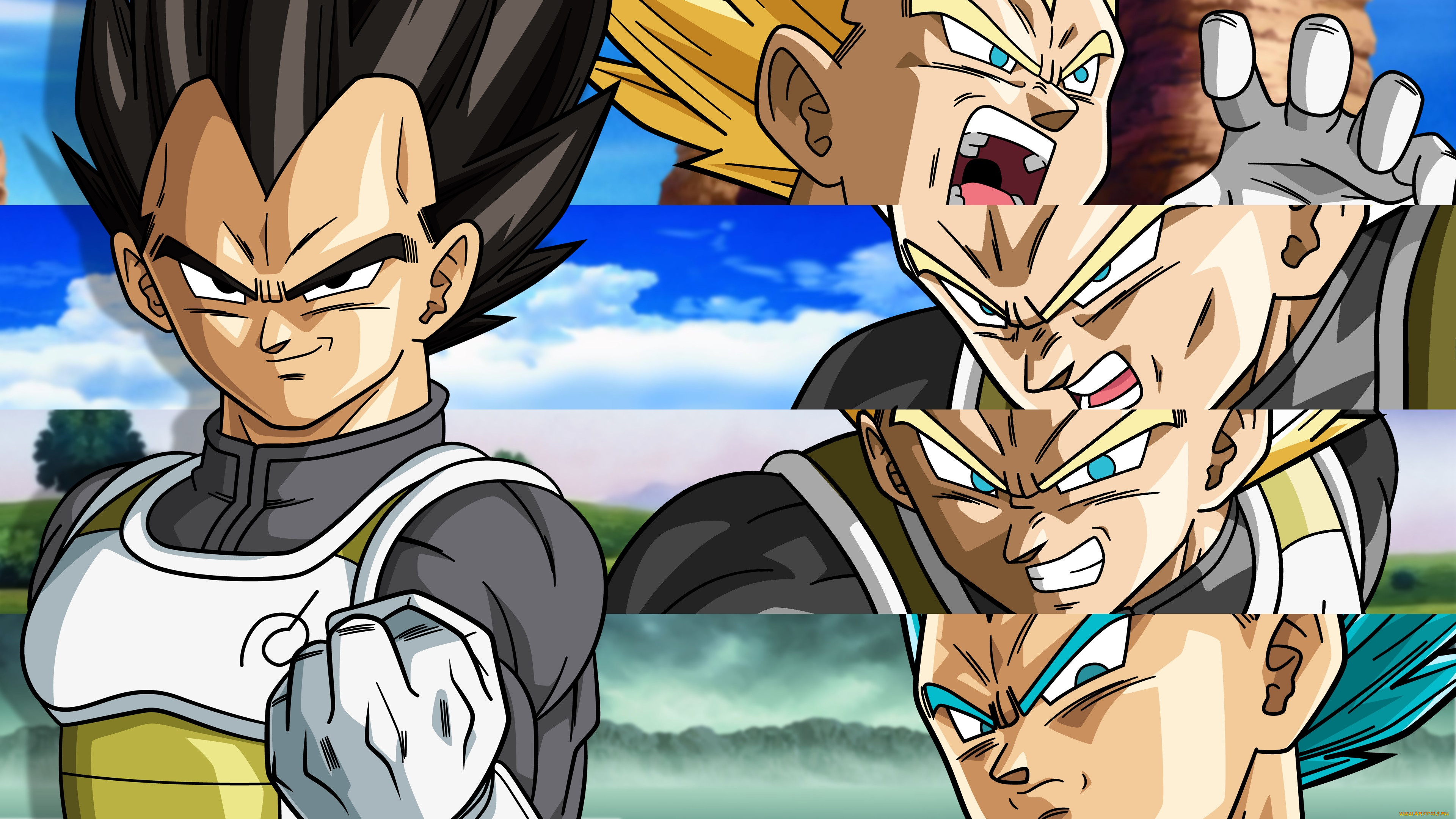 dragon ball, , 